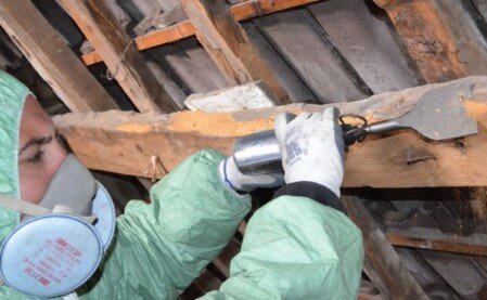 Traitement de termites charpente toiture nogent-le-roi 28210