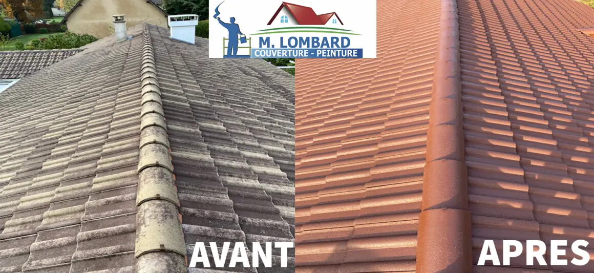 Nettoyage Démoussage Toiture AntiMousse Nogent-le-Roi 28210