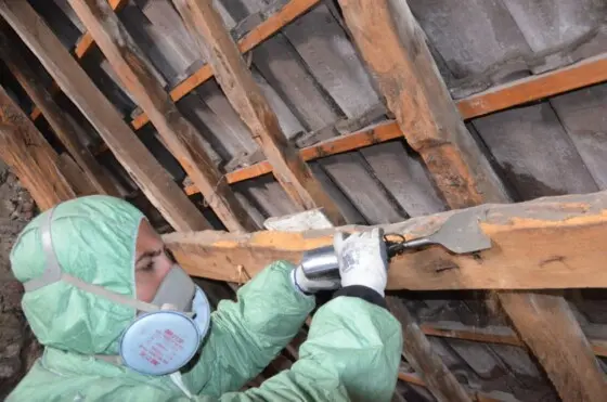 Traitement de charpente et anti-termites